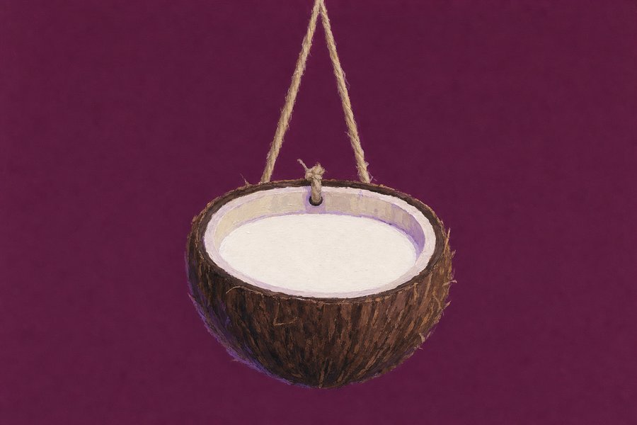 Half a coconut shell hanging from a short length of plain twine, filled level with solid off-white fat, its fibrous brown outside and pale lining visible.